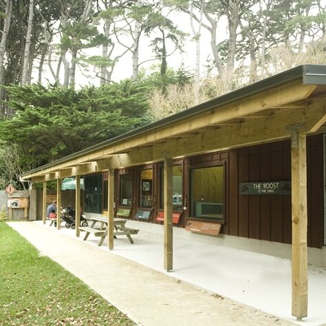 The Roost, Wellington Zoo